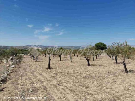 Parcela en Venta en Biar Alicante