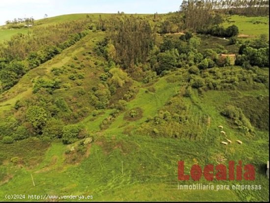 Extenso suelo a buen precio en Reocin, Cantabria