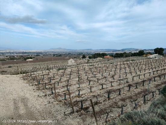 SE VENDE TERRENO RUSTICO CON MAGNIFICAS VISTAS EN ASPE - ALICANTE