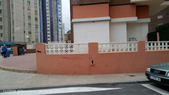 Local Benidorm - ALICANTE