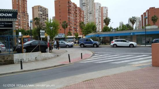 Local Benidorm - ALICANTE