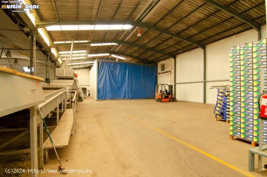 Nave Industrial En Venta En Los Ramos, Espacio Amplio Y Versátil Con Extras Incluidos. - MURCIA