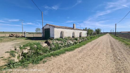  FINCA DE REGADIO CON ALMACEN EN ZAMORA - ZAMORA 