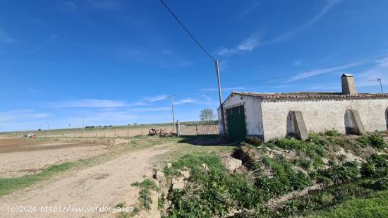 FINCA DE REGADIO CON ALMACEN EN ZAMORA - ZAMORA