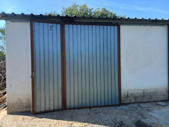 OCASION FINCA RUSTICA DE REGADIO CON VIVIENDA A 1,5 kM. DE MORA D´EBRE - TARRAGONA