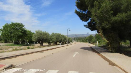 Parcelas urbanas residenciales en San Juan de Moró - CASTELLON