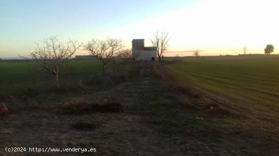 SE VENDE FINCA DE VIÑEDO EN TERMINO DE SOCUELLAMOS CON DERECHOS DE RIEGO EN TODA LA FINCA - CIUDAD 