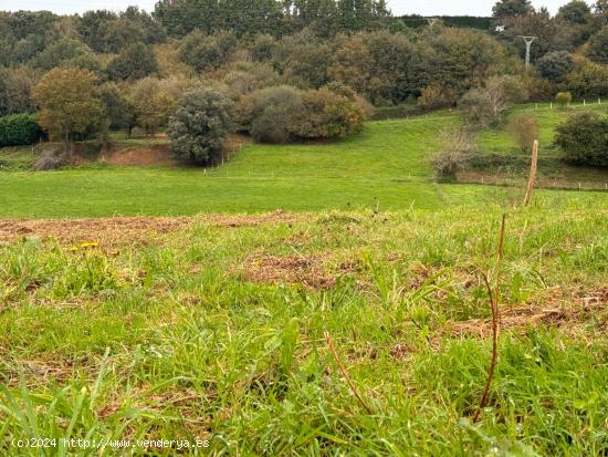 VENTA DE TERRENO URBANO EN ORUÑA DE PIELAGOS - CANTABRIA