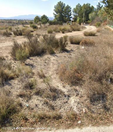 Parcela Urbana Directo para un chalet o con estudio de detalle para tres viviendas - MURCIA