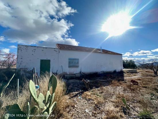 CASA DE CAMPO EN LA SERRANA - MURCIA