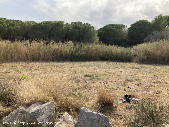 Finca rústica con suministros en Pineda de Mar - BARCELONA