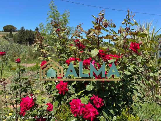  Finca rustica de 1100m2 en los Barrios - CADIZ 