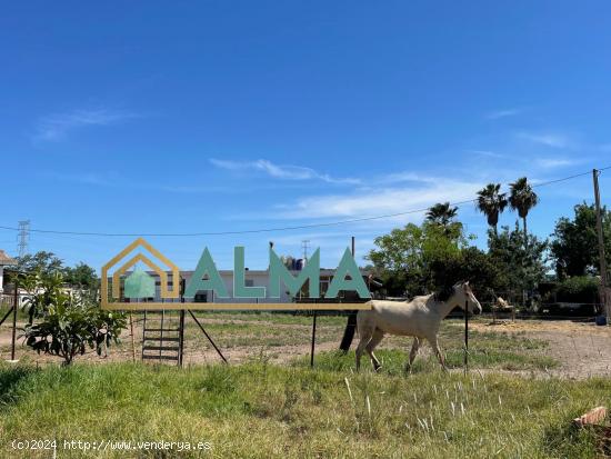 Finca rustica de 1100m2 en los Barrios - CADIZ