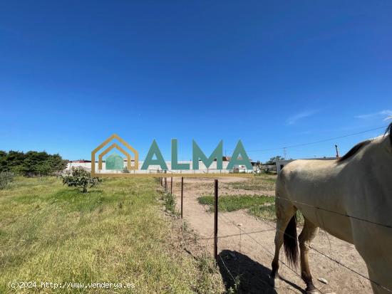 Finca rustica de 1100m2 en los Barrios - CADIZ