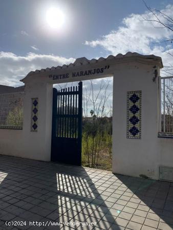 Se Vende en Castellon - Castello de la Plana - CASTELLON