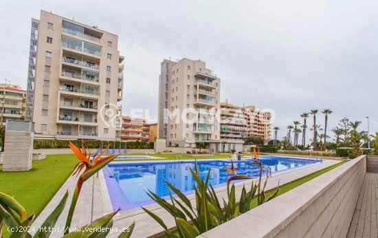  Apartamento en venta en Torrevieja (Alicante) 