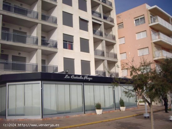 Apartamento en venta en Guardamar del Segura (Alicante)