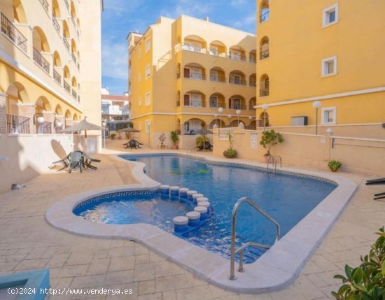  Apartamento en venta en Algorfa (Alicante) 