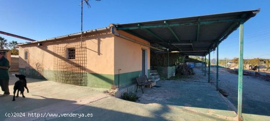  Finca en venta en San Miguel de Salinas (Alicante) 