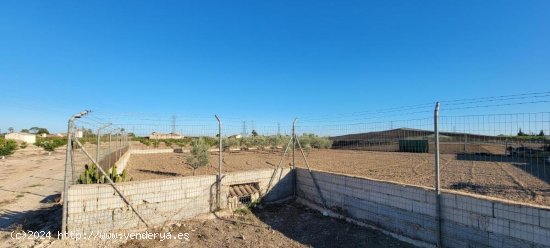 Finca en venta en San Miguel de Salinas (Alicante)