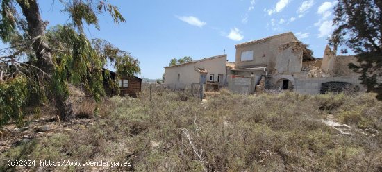 Finca en venta en Orihuela (Alicante)