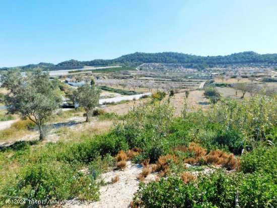 Finca en venta en Orihuela (Alicante)