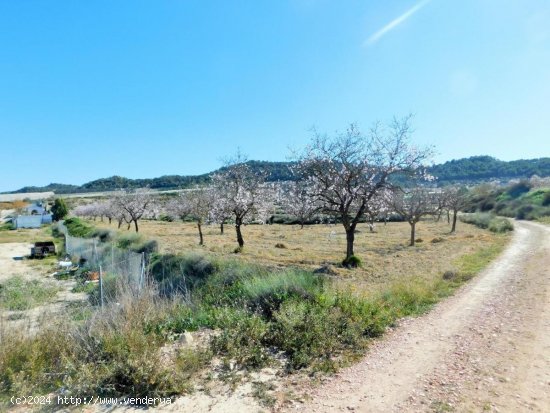 Finca en venta en Orihuela (Alicante)