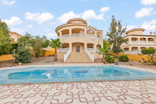  Villa en venta en Algorfa (Alicante) 