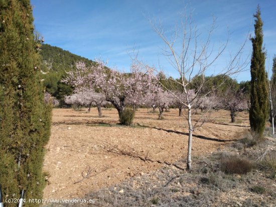 Casa en venta en Bullas (Murcia)