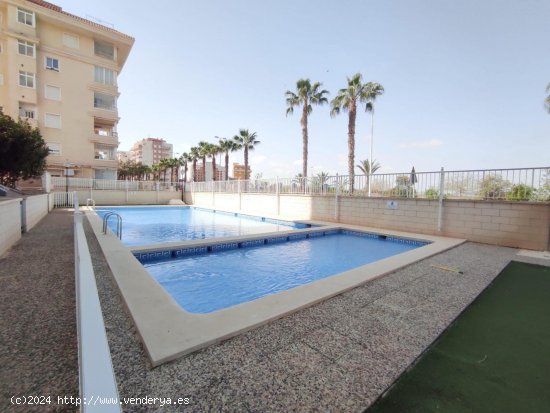 Piso en venta en Guardamar del Segura (Alicante)