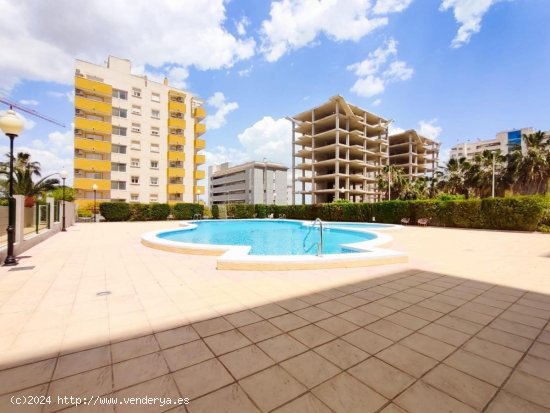 Piso en venta en Guardamar del Segura (Alicante)