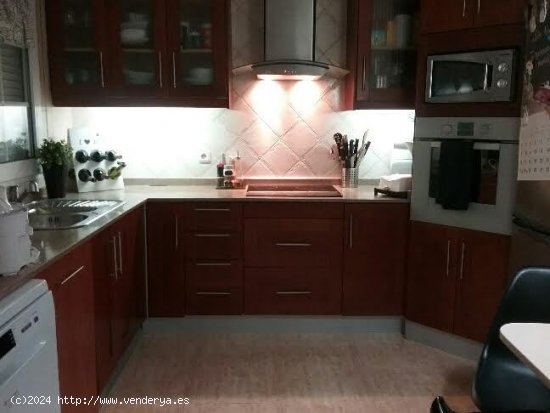 Apartamento en alquiler en Alicante (Alicante)