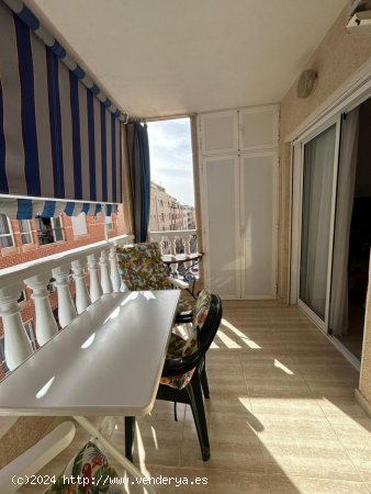 Apartamento en venta en Torrevieja (Alicante)