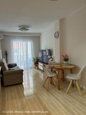 Apartamento en venta en Torrevieja (Alicante)