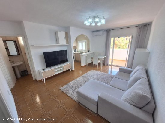  Apartamento en alquiler en Torrevieja (Alicante) 