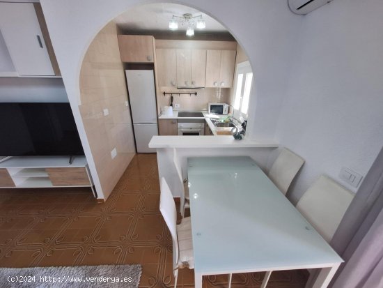 Apartamento en alquiler en Torrevieja (Alicante)