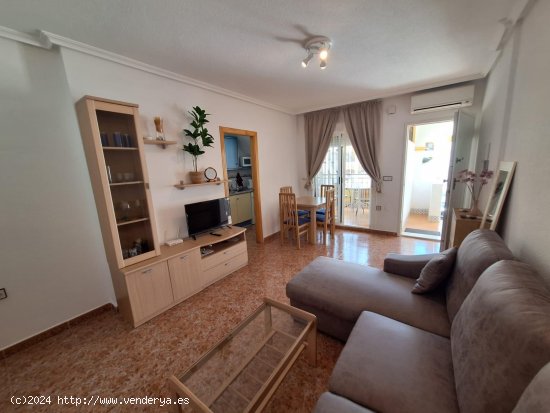 Bungalow en alquiler en Orihuela (Alicante)