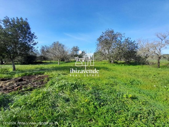  Parcela en venta en Sant Joan de Labritja (Baleares) 