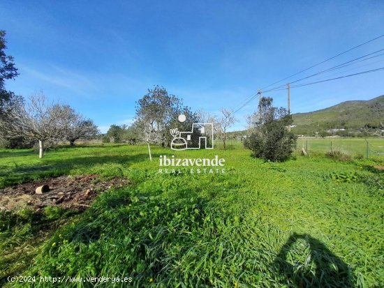 Parcela en venta en Sant Joan de Labritja (Baleares)