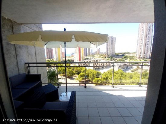 Apartamento en Venta en Benidorm Alicante