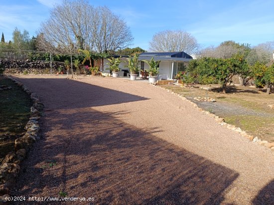 Casa de campo-Masía de Obra Nueva en Alquiler en Alcudia Baleares