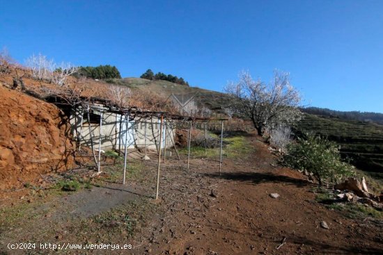 Suelo rústico en Venta en Puntagorda Santa Cruz de Tenerife