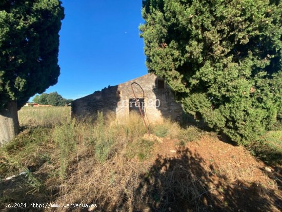 Finca con caseta de campo muy cerca del pueblo