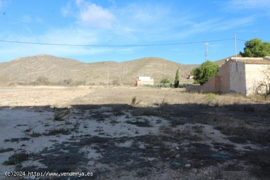 Terreno urbanizable en Hondón de los Frailes - ALICANTE