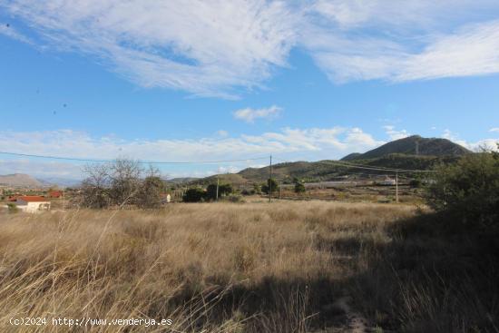 TERRENO RUSTICO EN HONDON DE LOS FRAILES - ALICANTE