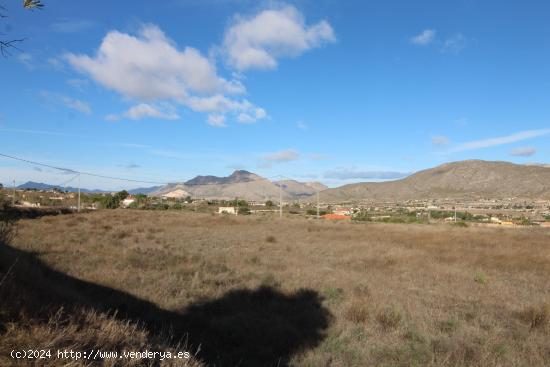 TERRENO RUSTICO EN HONDON DE LOS FRAILES - ALICANTE