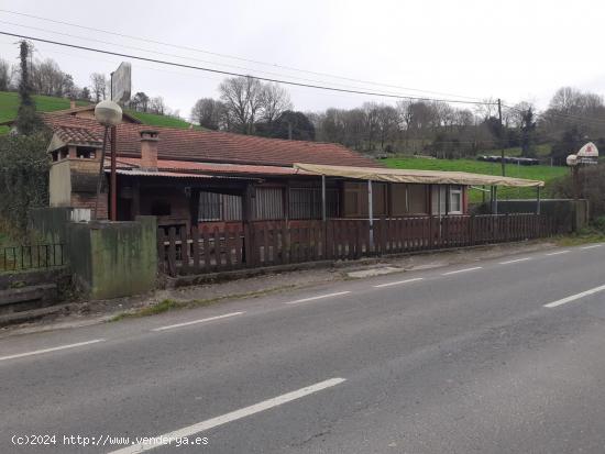 TERRENO CON EDIFICIO EN EL VALLE DE CARRANZA (BIZKAIA) - VIZCAYA