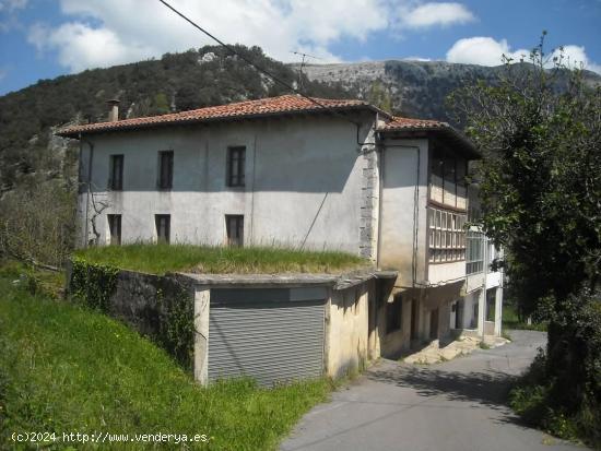 CASA PAREADA CON TERRENO EN OGARRIO DE RUESGA (CANTABRIA) - CANTABRIA