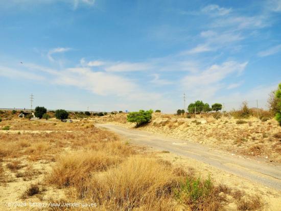 PARCELA AL LADO DE LA AUTOVIA - ALICANTE