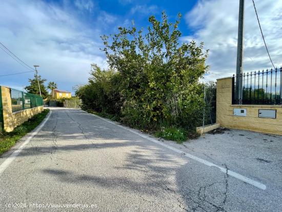  TERRENO URBANO EN LA HUERTA DE MURCIA - MURCIA 